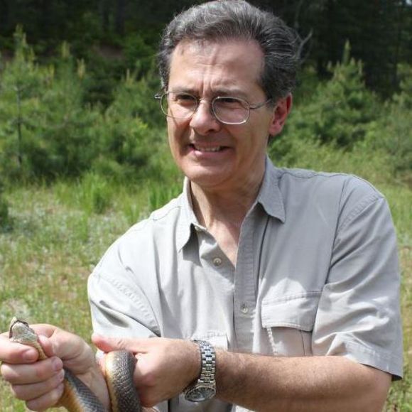 Meet your Posher, Dan - Picture 1 of 1